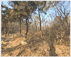  2025Ÿ��102114 �λ� �ϱ� ������ ��5       ����(�Ӿ�)���