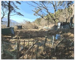  2025Ÿ��102114 �λ� �ϱ� ������ ��5       ����(�Ӿ�)���