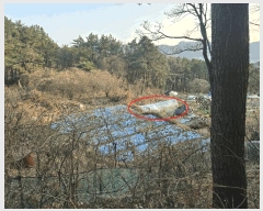  2025Ÿ��102114 �λ� �ϱ� ������ ��5       ����(�Ӿ�)���