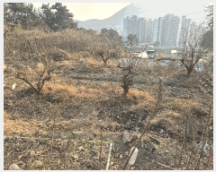  2025Ÿ��102114 �λ� �ϱ� ������ ��5       ����(�Ӿ�)���