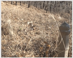  2025Ÿ��102114 �λ� �ϱ� ������ ��5       ����(�Ӿ�)���