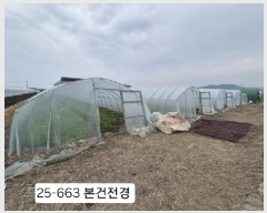  2025Ÿ��663 �λ� ������ ����2�� 5479       ����(��)���