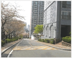  2025Ÿ��1123  ����Ʈ���