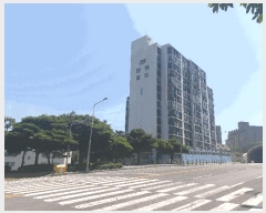  2025Ÿ��1918  ����Ʈ���