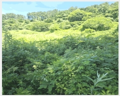  2025Ÿ��1994  �����