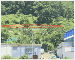  2025Ÿ��1994  �����