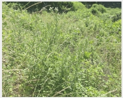  2025Ÿ��1994  �����