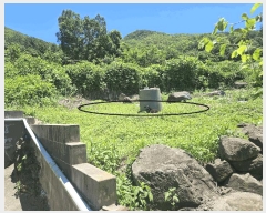  2025Ÿ��1994  �����