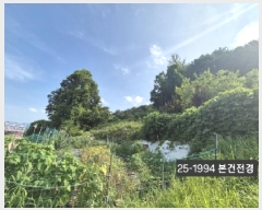  2025Ÿ��1994  �����