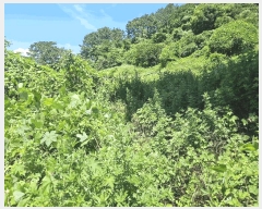  2025Ÿ��1994  �����