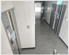  2025Ÿ��2300 �λ� ��� �ַʵ� 166-117 ����� 5��501ȣ     ���ǽ��ڰ��