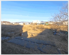  2025Ÿ��4078 �λ� ������ ����2�� 2637-1       ����(����)���
