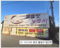  2025Ÿ100396 λ  1 3591-4       ()