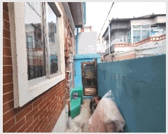  2025Ÿ��101059  ���ð��