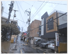  2025Ÿ��101254  �������