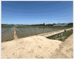  2025Ÿ��101476 �λ� ������ �׵��� 528-4       ����(��)���