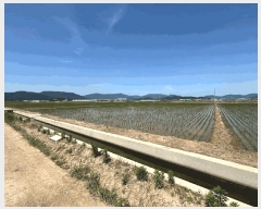  2025Ÿ��101476 �λ� ������ �׵��� 528-4       ����(��)���