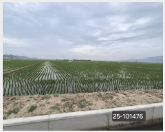  2025Ÿ��101476 �λ� ������ �׵��� 528-4       ����(��)���