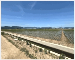  2025Ÿ��101476 �λ� ������ �׵��� 528-4       ����(��)���