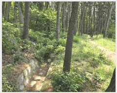  2025Ÿ��101486 �λ� �ϱ� ��õ�� ��118-1       ����(�Ӿ�)���