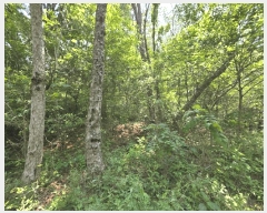  2025Ÿ��101486 �λ� �ϱ� ��õ�� ��118-1       ����(�Ӿ�)���