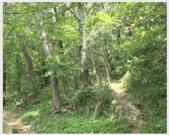  2025Ÿ��101486 �λ� �ϱ� ��õ�� ��118-1       ����(�Ӿ�)���