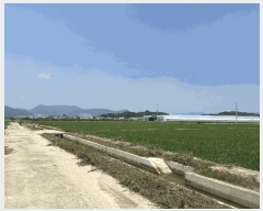  2025Ÿ��101523 �λ� ������ �׵��� 531-28       ����(��)���