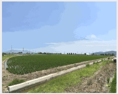  2025Ÿ��101523 �λ� ������ �׵��� 531-28       ����(��)���