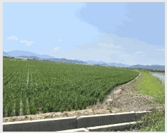  2025Ÿ��101523 �λ� ������ �׵��� 531-28       ����(��)���