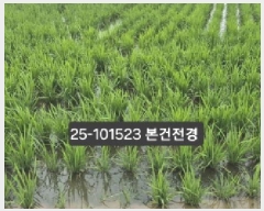  2025Ÿ��101523 �λ� ������ �׵��� 531-28       ����(��)���