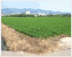  2025Ÿ��101594 �λ� ������ ����1�� 3229       ����(��)���