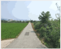  2025Ÿ��101594 �λ� ������ ����1�� 3229       ����(��)���