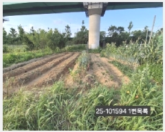  2025Ÿ��101594 �λ� ������ ����1�� 3229       ����(��)���