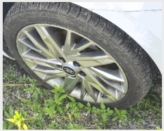  2025Ÿ��101814  �������