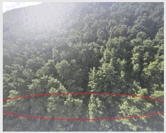  2025Ÿ��102021 �λ� ���ϱ� �ϴܵ� ��61-1       ����(�Ӿ�)���