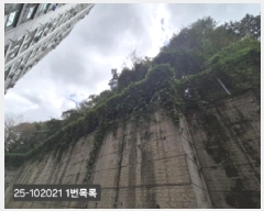  2025Ÿ��102021 �λ� ���ϱ� �ϴܵ� ��61-1       ����(�Ӿ�)���