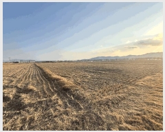  2025Ÿ��102225 �λ� ������ �׵��� 501-2       ����(��)���
