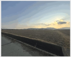  2025Ÿ��102225 �λ� ������ �׵��� 501-2       ����(��)���