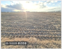  2025Ÿ��102225 �λ� ������ �׵��� 501-2       ����(��)���
