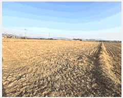  2025Ÿ��102225 �λ� ������ �׵��� 501-2       ����(��)���