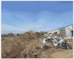  2025Ÿ��250  �����