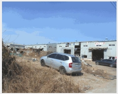  2025Ÿ��250  �����