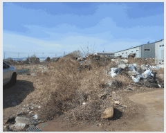  2025Ÿ��250  �����