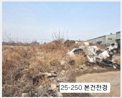  2025Ÿ��250  �����