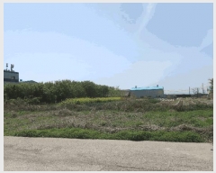  2025Ÿ��1253  �����