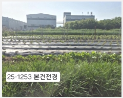  2025Ÿ��1253  �����