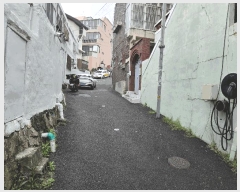  2025Ÿ��1529  ���ð��