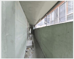  2025Ÿ��1529  ���ð��