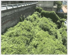  2025Ÿ��2546 �λ� ���ϱ� �縮�� 22-3       ����(�Ӿ�)���