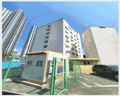  2025Ÿ��101256  ���ǽ��ڰ��